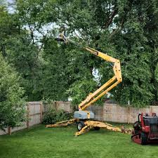 Best Lawn Grading and Leveling  in Berrien Springs, MI